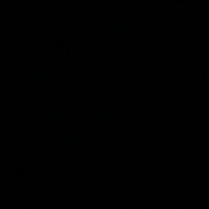 Meet your Posher, Jaden